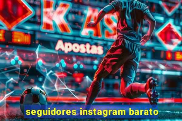 seguidores instagram barato